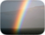 Hawaiian rainbow - Copyright R Konig